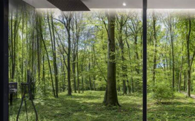 Wandverkleidungen